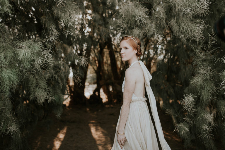 Joshua Tree